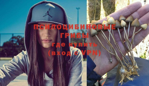 не бодяженный Медногорск