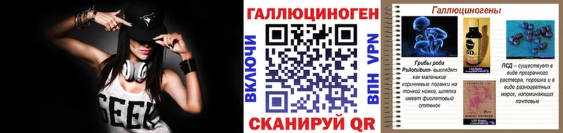 Псилоцибиновые грибы Psilocybine cubensis  Киселёвск 